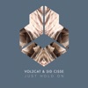 Just Hold On - Single