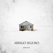 Abrigo Seguro artwork
