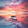 AShamaluevMusic - Acoustic