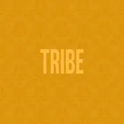 Tribe - Single by Jidenna album reviews, ratings, credits