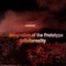 Disintegration of the Prototype - infinitereality lyrics