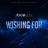 Wishing For