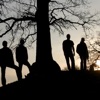 Grønn - Single