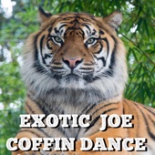 Exotic Joe - Coffin Dance