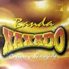 Banda Xaxado