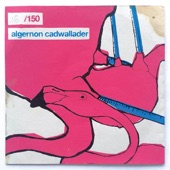 Algernon Cadwallader - I Wanna Go to the Beach