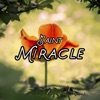 Miracle - Single