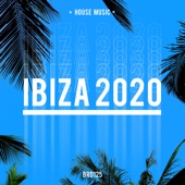 Ibiza 2020 artwork