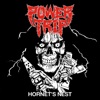 Hornet's Nest - Single