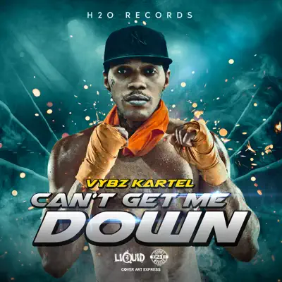 Can't Get Me Down - Single - Vybz Kartel