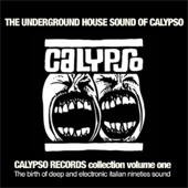 The Underground House Sound of Calypso, Vol. 1 (The Birth of Deep and Electronic Italian Nineties Sound Collection) artwork