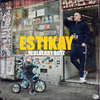 Estikay - Blueberry Boyz artwork