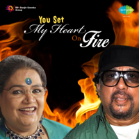 Usha Uthup & Louis Banks - You Set My Heart On Fire artwork