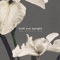 Hold You Upright - The Western Den lyrics