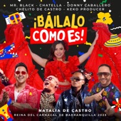 Báilalo Como Es (feat. Chelito De Castro, Keko Producer & Natalia de Castro Reina del Carnaval de Barranquilla 2023) artwork