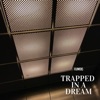 Trapped in a Dream