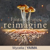 Mycelia (Fantastic Fungi: Reimagine) artwork