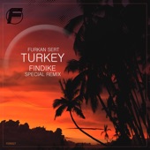Turkey (Findike Remix) artwork