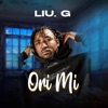 Ori Mi - Single