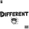 Different - Nebr, the Tiger lyrics