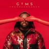 Maître Gims - Pirate (feat. J Balvin)