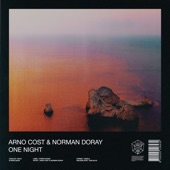 One Night (Extended Mix) artwork