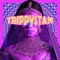Trippystan artwork