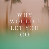 Why Would I Let You Go artwork