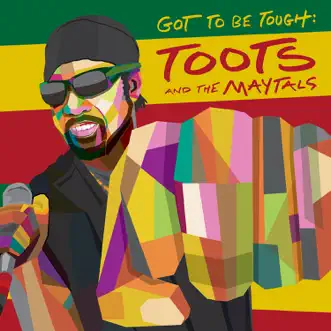Stand Accused by Toots & The Maytals song reviws