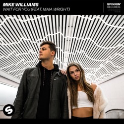 Mike Williams - Wait For You (feat. Maia Wright)