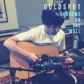 Goldspot - Shadows on the Wall