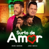Surto de Amor (Ao Vivo) artwork
