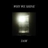 Why We Shine - Single