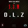 DLZ (feat. S3m) - Single album lyrics, reviews, download