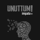 Unuttum artwork