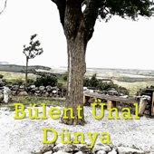 Dünya artwork