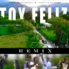 Stream & download Toy Feliz (Remix) [feat. Los Del Millero, Quimico Ultra Mega & Ceky Viciny]