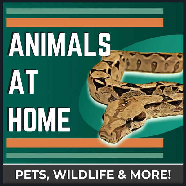 The Animals at Home Podcast