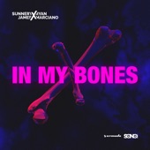 In My Bones (feat. Dan McAlister) artwork