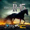 Caballo R-15 - Single album lyrics, reviews, download