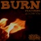 Burn (feat. Ackronem) - Walrus the Human lyrics