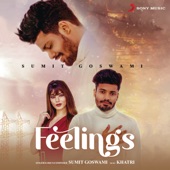 Feelings artwork