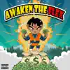 Awaken the Flex album lyrics, reviews, download
