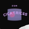 Cicatrices - Single