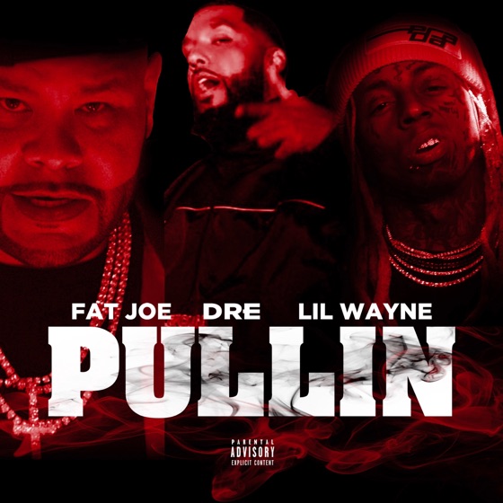 Cover artwork for Pullin