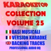 Karaoketop Collection, Vol. 25