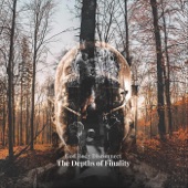 The Depths of Finality artwork