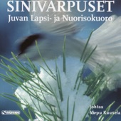 Leivästä enkelten (feat. Pienet Sinivarpuset & Pertti Laamanen) artwork