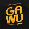 Gawu (feat. Tiwa Savage) - Single album lyrics, reviews, download