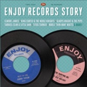 Enjoy Records Story artwork